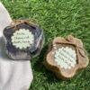 Organic Soap Bar  - 'Milk Charcoal + Lavender Green Tea' Bath Soap ( Pack of 2 ) 100% Vegan