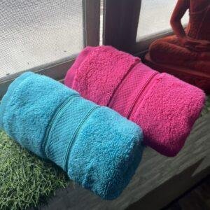 Ultra Premium | Ultra Soft | Egyptian Cotton Hand/Face Towels with zero twist | ”Glistening Lancers” – Pack of 2