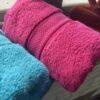IMG_2798 Ultra Premium | Ultra Soft | Egyptian Cotton Hand/Face Towels with zero twist | ”Glistening Lancers” – Pack of 2