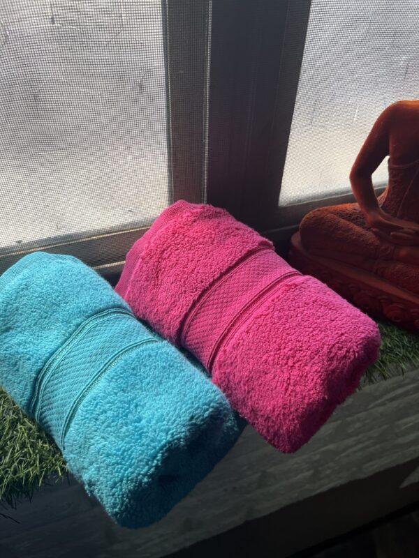 IMG_2799 Ultra Premium | Ultra Soft | Egyptian Cotton Hand/Face Towels with zero twist | ”Glistening Lancers” – Pack of 2