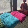 IMG_2804 Ultra Premium | Ultra Soft | Egyptian Cotton Hand/Face Towels with zero twist | ”Glistening Lancers” – Pack of 2