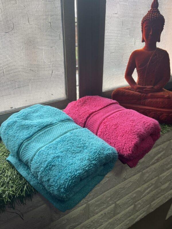 IMG_2804 Ultra Premium | Ultra Soft | Egyptian Cotton Hand/Face Towels with zero twist | ”Glistening Lancers” – Pack of 2