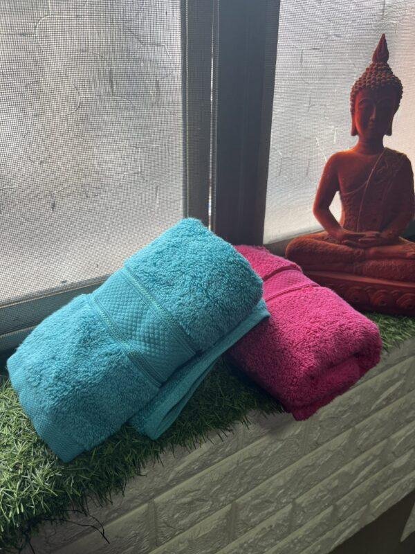 IMG_2805 Ultra Premium | Ultra Soft | Egyptian Cotton Hand/Face Towels with zero twist | ”Glistening Lancers” – Pack of 2