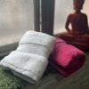 IMG_2814 Ultra Premium | Ultra Soft | Egyptian Cotton Hand/Face Towels with zero twist | ”Pink Rocketeers” – Pack of 2