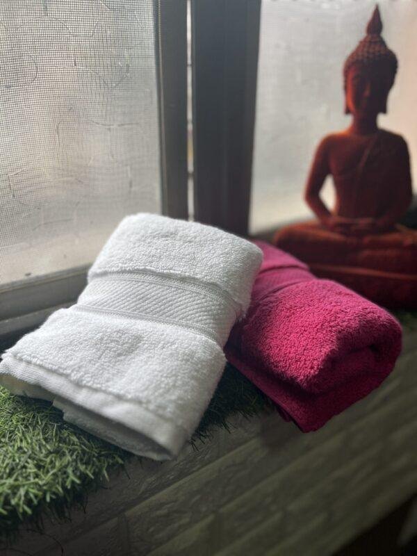IMG_2814 Ultra Premium | Ultra Soft | Egyptian Cotton Hand/Face Towels with zero twist | ”Pink Rocketeers” – Pack of 2