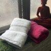 IMG_2815 Ultra Premium | Ultra Soft | Egyptian Cotton Hand/Face Towels with zero twist | ”Pink Rocketeers” – Pack of 2