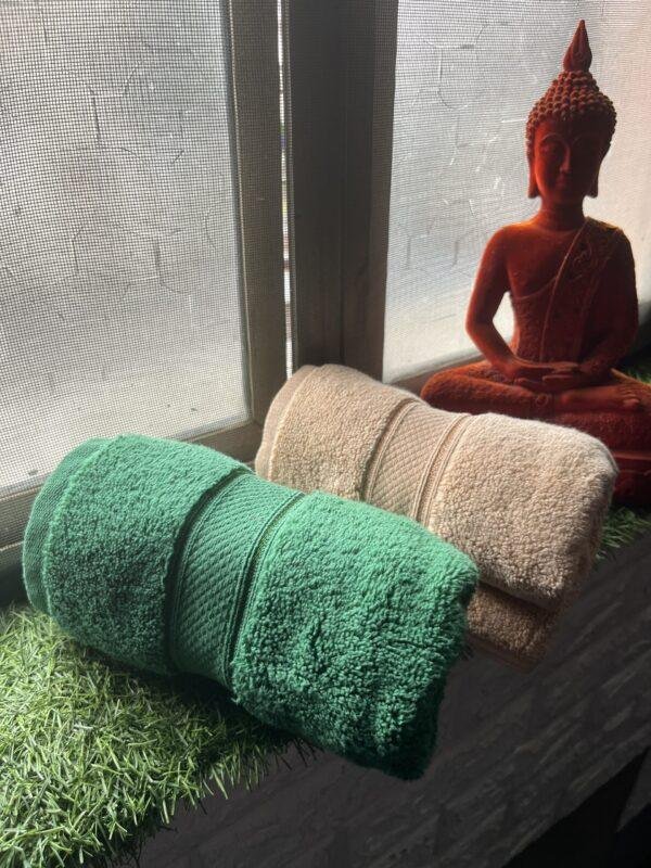 IMG_2835 Ultra Premium | Ultra Soft | Egyptian Cotton Hand/Face Towels with zero twist | ”Marvellous Monarchs” – Pack of 2