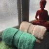 IMG_2837 Ultra Premium | Ultra Soft | Egyptian Cotton Hand/Face Towels with zero twist | ”Marvellous Monarchs” – Pack of 2