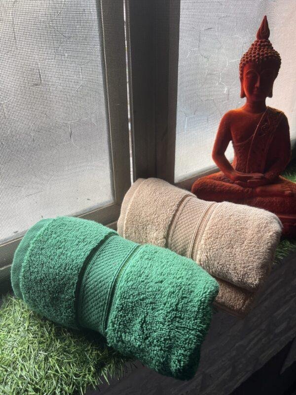 IMG_2837 Ultra Premium | Ultra Soft | Egyptian Cotton Hand/Face Towels with zero twist | ”Marvellous Monarchs” – Pack of 2