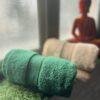 IMG_2842 Ultra Premium | Ultra Soft | Egyptian Cotton Hand/Face Towels with zero twist | ”Marvellous Monarchs” – Pack of 2