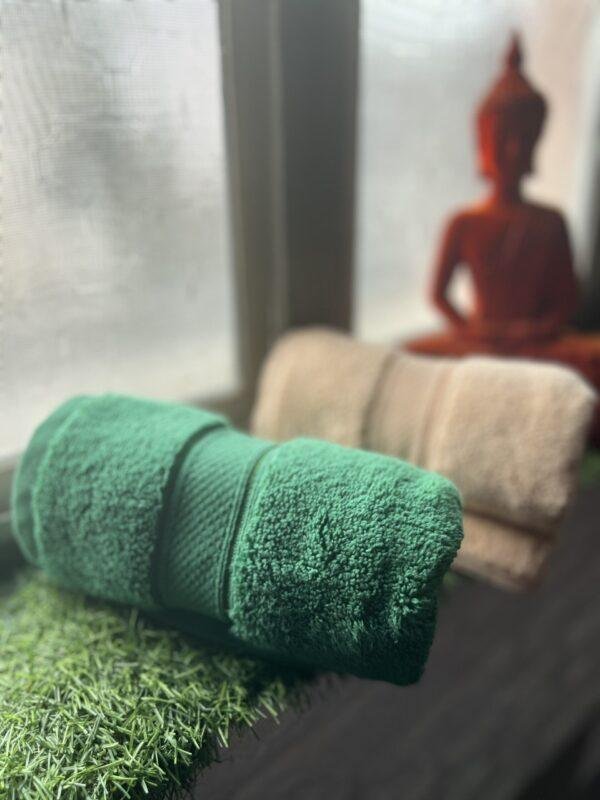 IMG_2842 Ultra Premium | Ultra Soft | Egyptian Cotton Hand/Face Towels with zero twist | ”Marvellous Monarchs” – Pack of 2