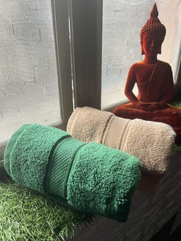 IMG_2844 Ultra Premium | Ultra Soft | Egyptian Cotton Hand/Face Towels with zero twist | ”Marvellous Monarchs” – Pack of 2