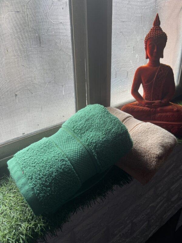 IMG_2848 Ultra Premium | Ultra Soft | Egyptian Cotton Hand/Face Towels with zero twist | ”Marvellous Monarchs” – Pack of 2
