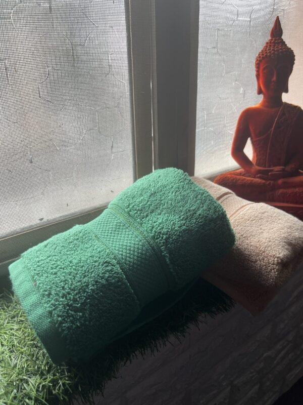 IMG_2852 Ultra Premium | Ultra Soft | Egyptian Cotton Hand/Face Towels with zero twist | ”Marvellous Monarchs” – Pack of 2