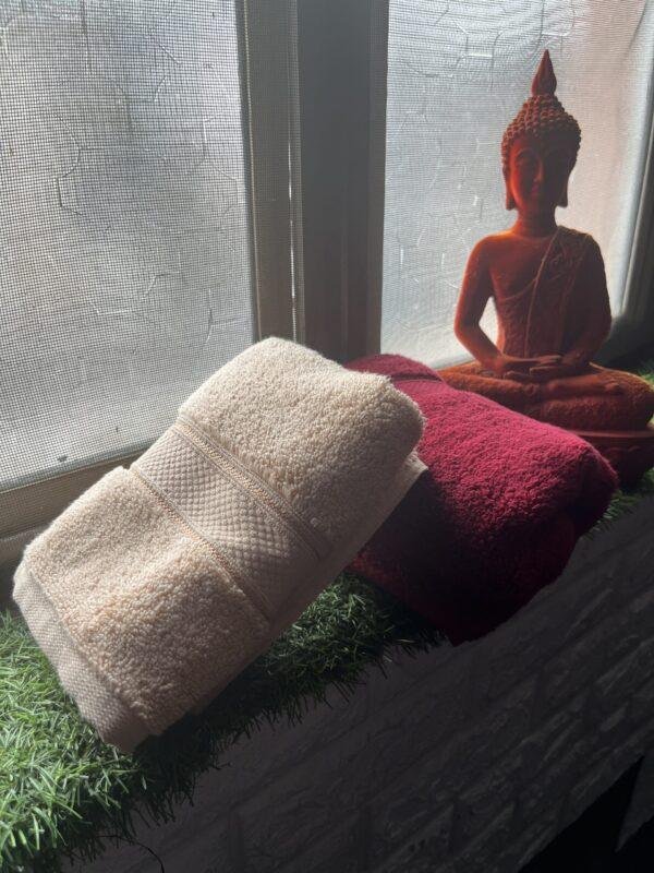 Ultra Premium | Ultra Soft | Egyptian Cotton Hand/Face Towels with zero twist | ''Red Impacts'' - Pack of 2