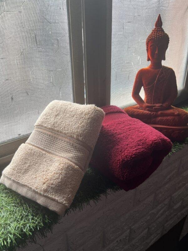 Ultra Premium | Ultra Soft | Egyptian Cotton Hand/Face Towels with zero twist | ''Red Impacts'' - Pack of 2