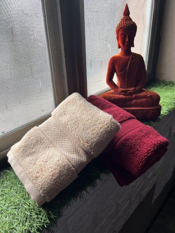 Ultra Premium | Ultra Soft | Egyptian Cotton Hand/Face Towels with zero twist | ''Red Impacts'' - Pack of 2