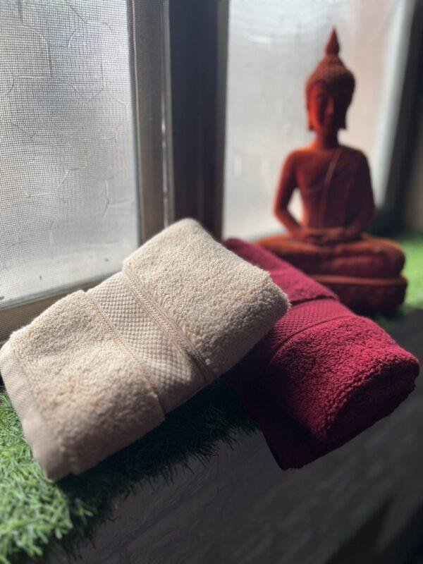 Ultra Premium | Ultra Soft | Egyptian Cotton Hand/Face Towels with zero twist | ''Red Impacts'' - Pack of 2