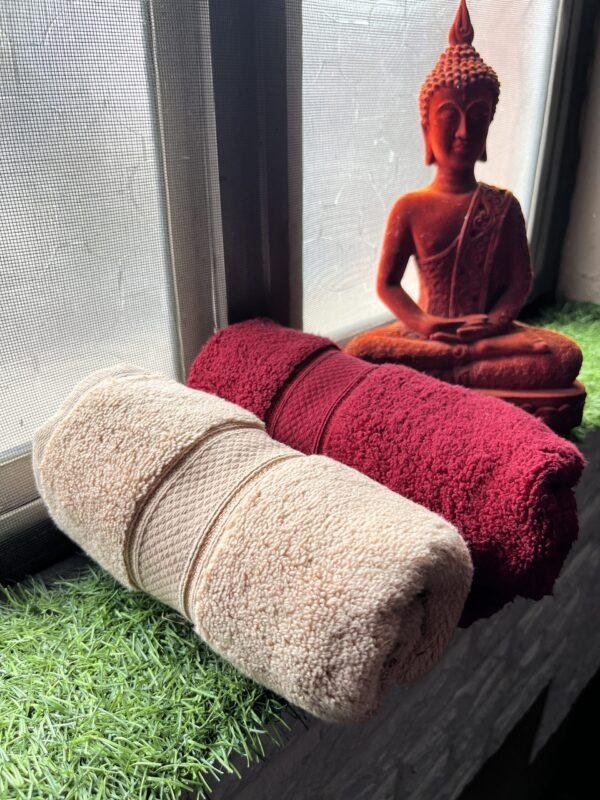 Ultra Premium | Ultra Soft | Egyptian Cotton Hand/Face Towels with zero twist | ''Red Impacts'' - Pack of 2