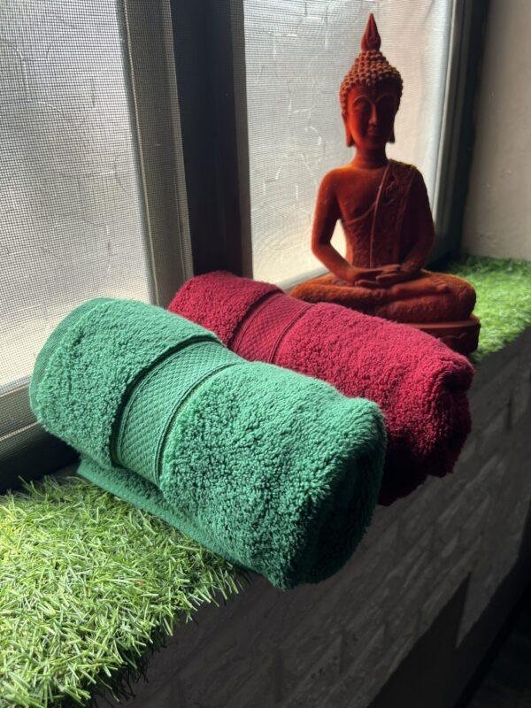 Ultra Premium | Ultra Soft | Egyptian Cotton Hand/Face Towels with zero twist | ”Tequila Berry’s” – Pack of 2