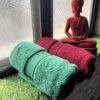Ultra Premium | Ultra Soft | Egyptian Cotton Hand/Face Towels with zero twist | ”Tequila Berry’s” – Pack of 2