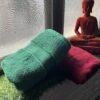 Ultra Premium | Ultra Soft | Egyptian Cotton Hand/Face Towels with zero twist | ”Tequila Berry’s” – Pack of 2