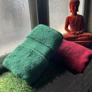 Ultra Premium | Ultra Soft | Egyptian Cotton Hand/Face Towels with zero twist | ”Tequila Berry’s” – Pack of 2