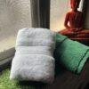 IMG_2886 Ultra Premium | Ultra Soft | Egyptian Cotton Hand/Face Towels with zero twist | ”Green Berets” – Pack of 2