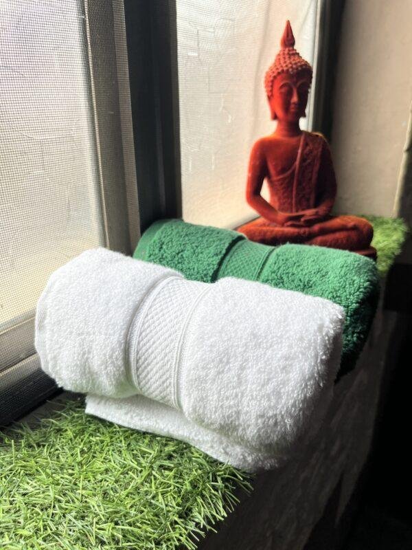 IMG_2903 Ultra Premium | Ultra Soft | Egyptian Cotton Hand/Face Towels with zero twist | ”Green Berets” – Pack of 2