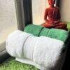 IMG_2904 Ultra Premium | Ultra Soft | Egyptian Cotton Hand/Face Towels with zero twist | ”Green Berets” – Pack of 2
